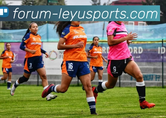 乐鱼体育APP 封面图